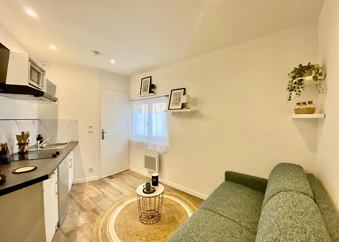 Le Pti\'Toulousain 9 - Studio Centre